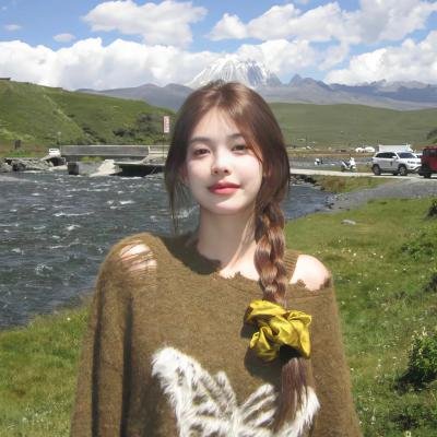 布兰丁斯城堡第二季 海报